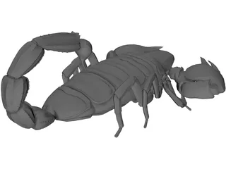 Scorpion 3D Model