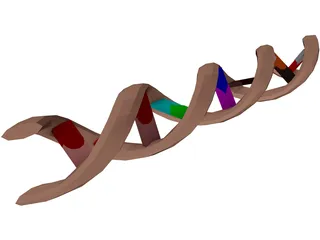 DNA Molecule 3D Model