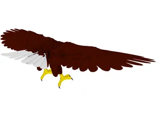 Eagle 3D Model