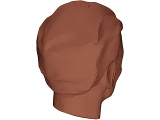 Face Muscles and Head 3D Model