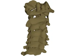 Vertebrae Cervical 3D Model