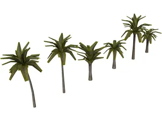 Palm Collection 3D Model