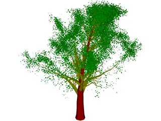 Tree 3D Model