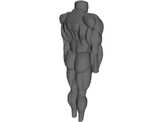 Muscles Body 3D Model