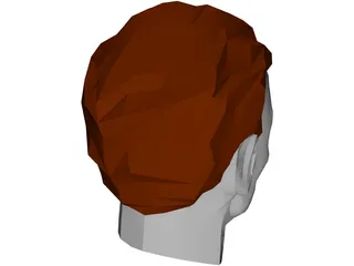 Face Muscles And Head 3D Model