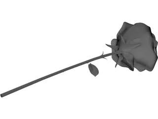 Rose 3D Model