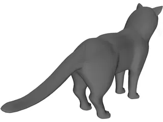 Cat 3D Model