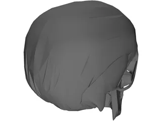 Skull 3D Model