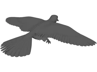 Dove 3D Model