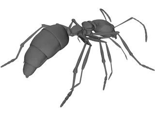 Ant 3D Model