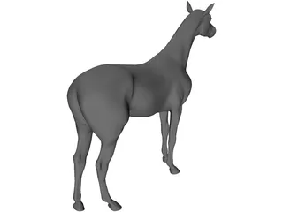 Horse 3D Model