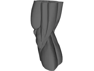 Knee 3D Model