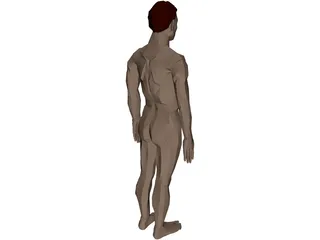 Man 3D Model