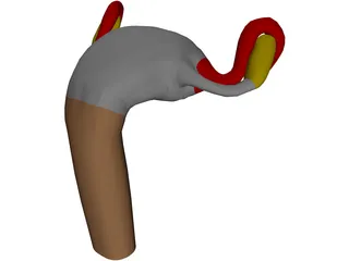 Uterus 3D Model