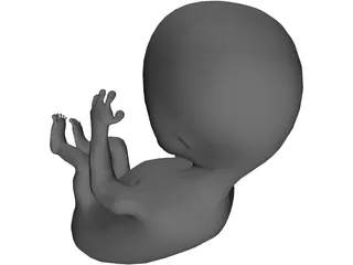 Baby Fetus Infant 3D Model