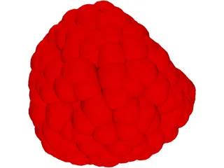 Raspberry 3D Model