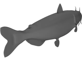 Blue Catfish 3D Model