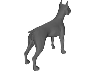 Dog Boxer 3D Model