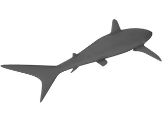 Shark 3D Model