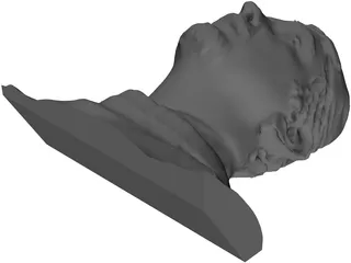 Face Human Digitalized 3D Model