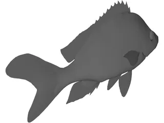 John Dory Type Fish 3D Model