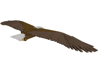 Bald Eagle 3D Model