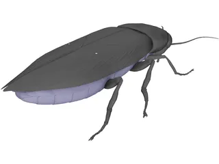 Firebeetle 3D Model