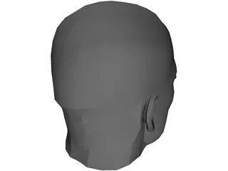 Male Adult Head  3D Model