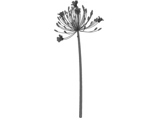 Bell Agapanthus Flower 3D Model