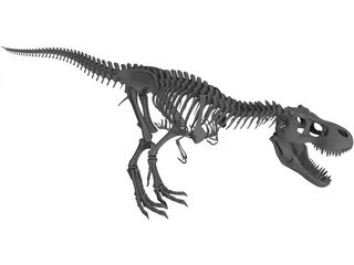 Tyrannosaurus Rex Skeleton 3D Model