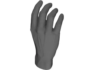 Hand 3D Model