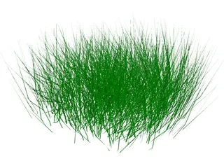 Grass 3D Model