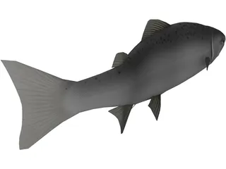 Happy Fish 3D Model