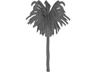 Palm Tree 3D Model