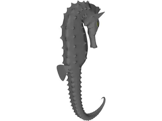 Hippocampe 3D Model