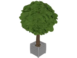 Tree 3D Model