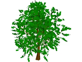 Baum Tree 3D Model