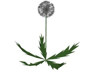 Dandelion 3D Model