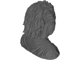 Albert Einstein 3D Model