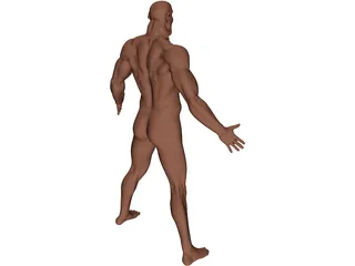 Man 3D Model