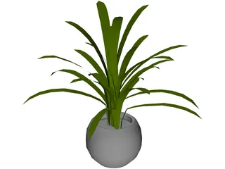 Plant in Pot 3D Model