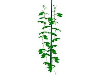 Plant 3D Model