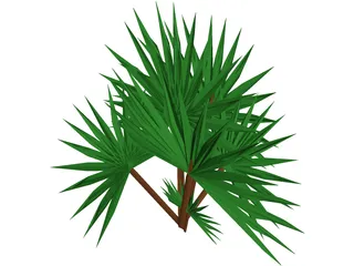 Palmetto Plant 3D Model