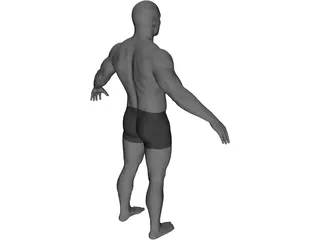 Male 3D Model