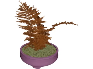 House Plant 3D Model