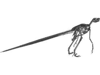 Velociraptor Skeleton 3D Model