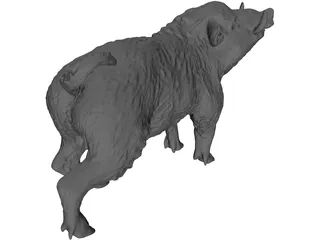 Wild Boar 3D Model