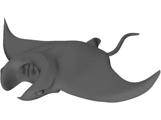 Manta Ray 3D Model