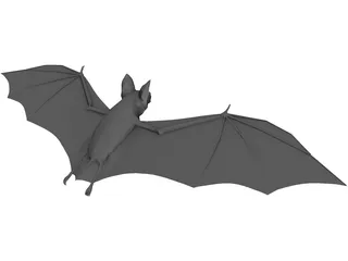 Bat 3D Model