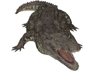 Crocodile 3D Model